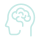 human-brain